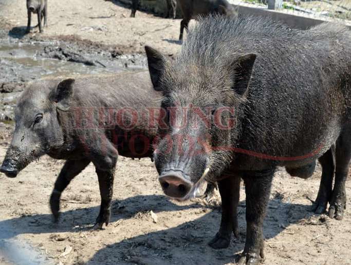 banner kbskin partner