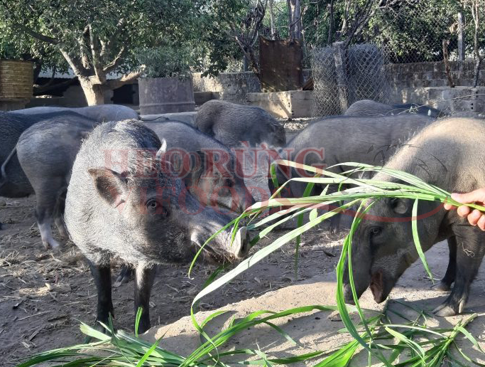 banner kbskin partner