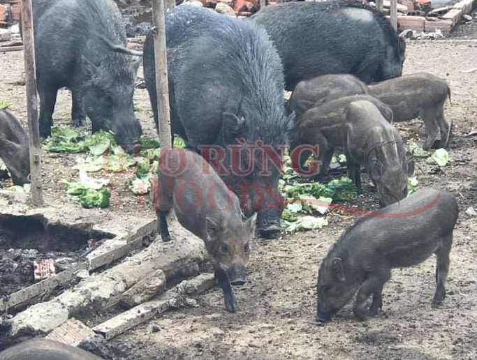 banner kbskin partner