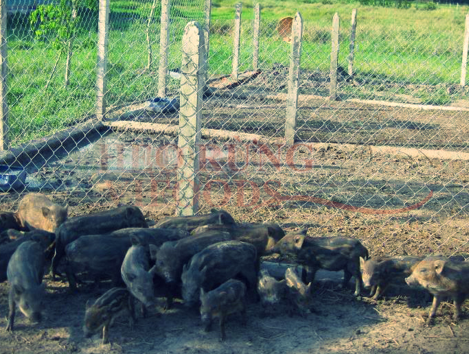 banner kbskin partner