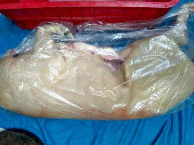 Bán thịt heo rừng TPHCM - Thịt heo rừng loại 1