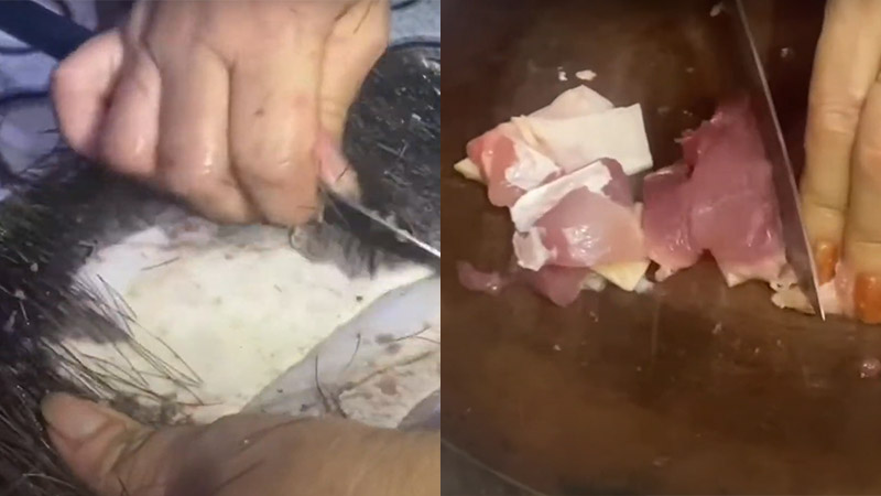 Cạo lông heo và cắt miếng vừa ăn Cạo lông heo và cắt miếng vừa ăn